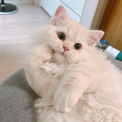 Muốn được cùng bên em, mình ngồi ngắm trăng và ăn kem..