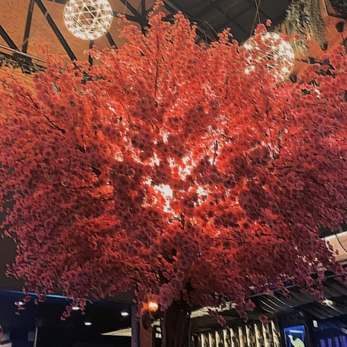 thay tlinh rap trong vaicaunoicokhiennguoithaydoi