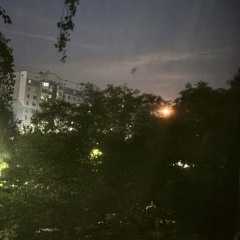 В темноте
