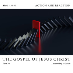 Voice Note for 20250105 - TheGospelofJesusChrist-Part36-Mark1-ActionandReaction