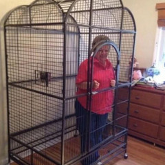 cheers mate my nans in the cupboard now thinking she’s anne frank