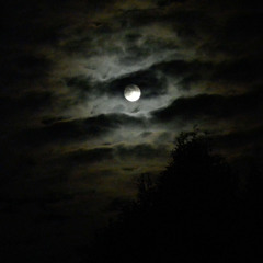 WANDERING  SKIES x SPIT IN MY FACE