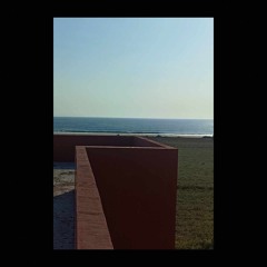 Sesgo - Panorama