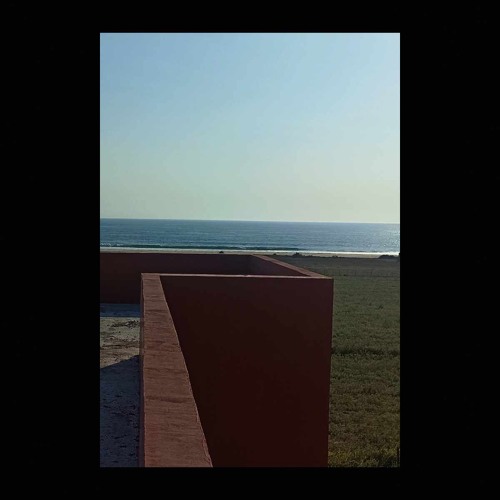Sesgo - Panorama