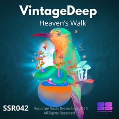 VintageDEEP - Heavens Walk (Original Mix) Premiere