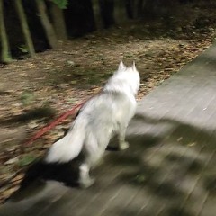 Robbie Eleckt - Sep24FavsMixtape