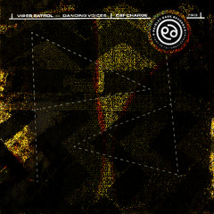 PREMIERE : Viper Patrol - Dancing Voices (A Space Age Freak Out Remix) (Paisley Dark Records)