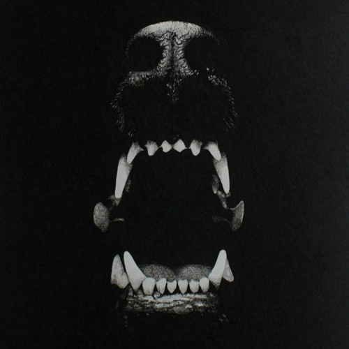 Stay X Want You - Distress Signal X Kanine