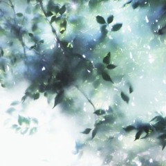 catalogue_