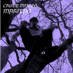 CRUDE MIX I 28 - Marilao