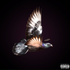 Y. Neshuh - El Elefante