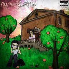 I WROTE THIS SONG 4 YA (prod. SHINYICEFLOE)