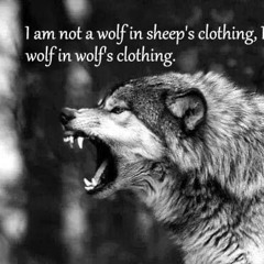 Protect the mercy.WAV