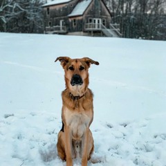 Little Karma Kaleidoscope