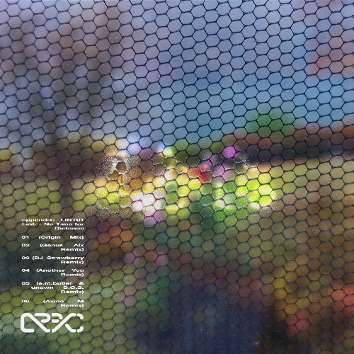 Lint. - No Time for Distance (previews) [APPXLINT01]