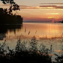 Yoga Nidra i naturen, 13 - 19 år med Victoria (21 min)