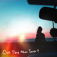 Does That Make Sense?