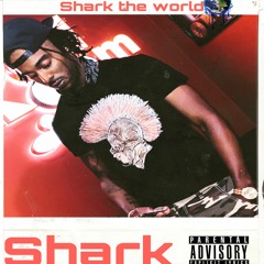 SHARK - STAY READY