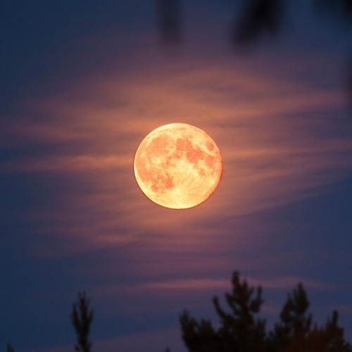 Artem Ready @ Weiher Fullmoon Open Air 20.7.24 [156 BPM]