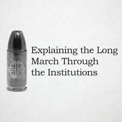 Explaining the Long March Through the Institutions
