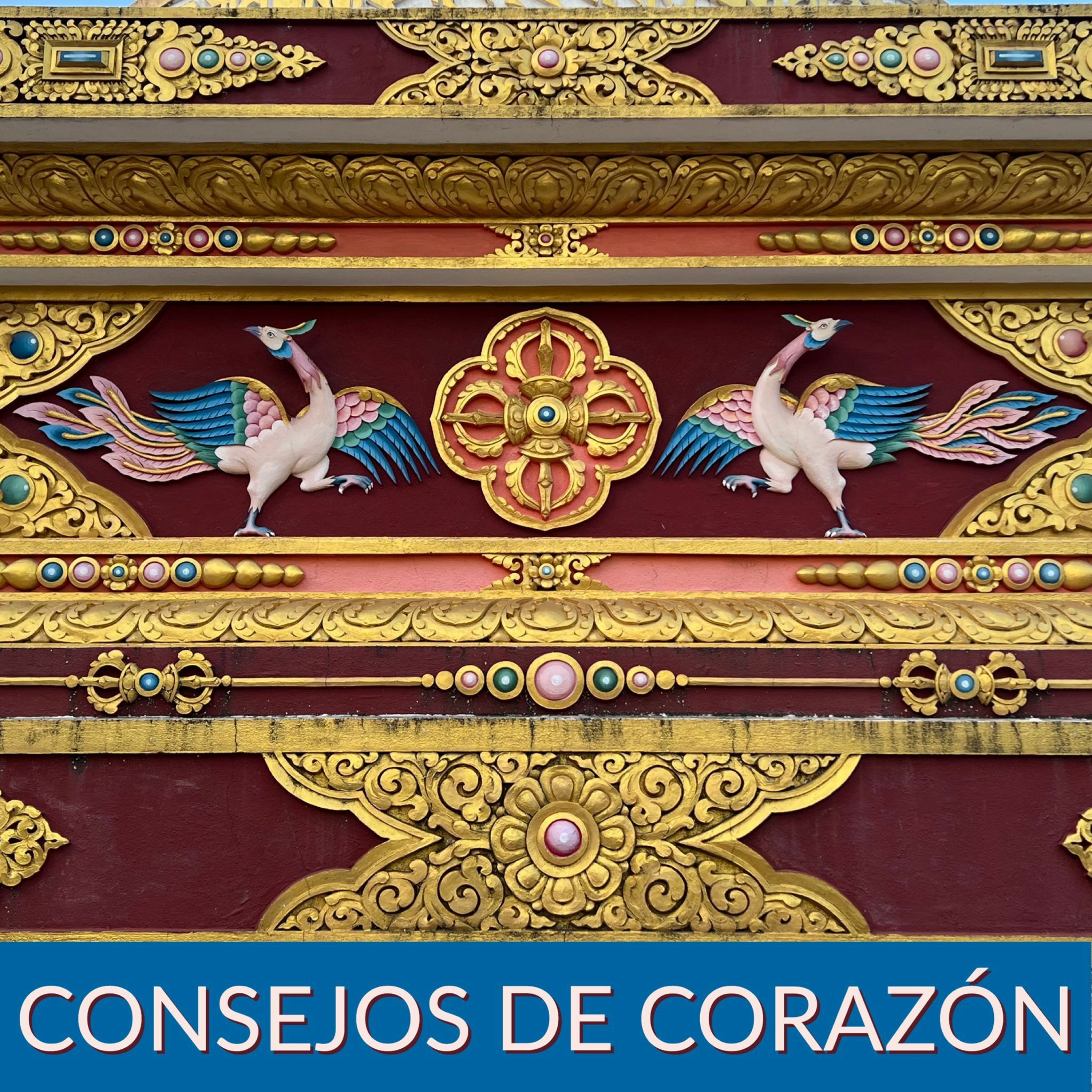 Portada de Nagarjuna Valencia