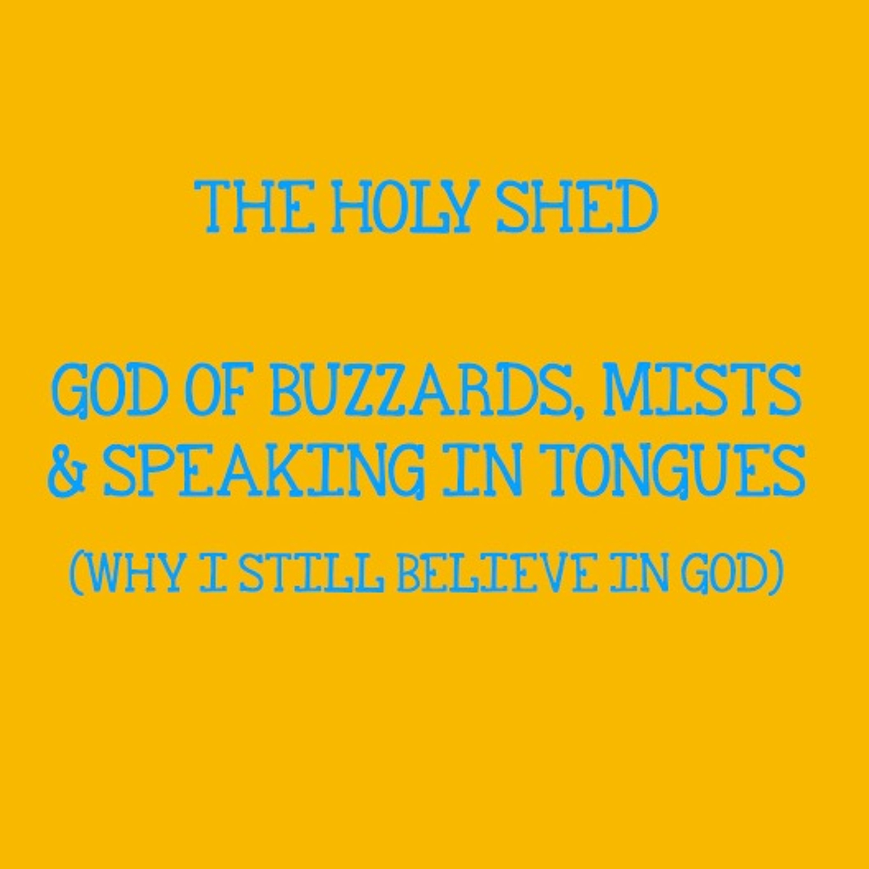 The Holy Shed - Dave Tomlinson