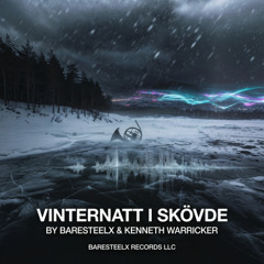 VINTERNATT  I SKÖVDE