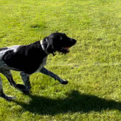 eli is tired (Elijah M. Peairs killer kickflip)[killer clown version].m4a