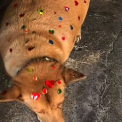 mix pr sauter ds les flaques d'eau