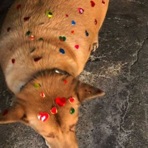 mix pr sauter ds les flaques d'eau