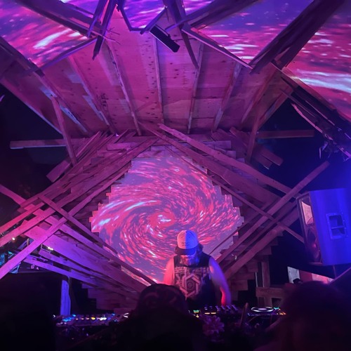 Morning in the Woods