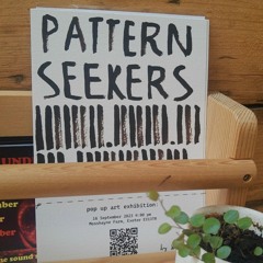 Jakub Sohe Pattern Seekers Art Exhibition Interview Recorded At Mosshayne Farm, Exeter x