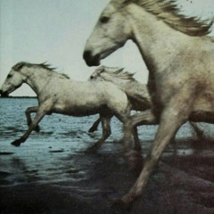 f dat mayne ( prod. dustercat )