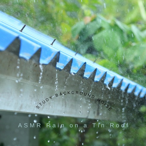 Stream Sleeping in the Rain by ASMR Rain on a Tin Roof | Listen online ...