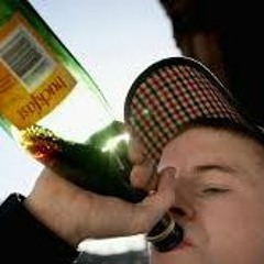 Along Came Polly x Fake ID