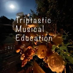 5 - Natalia Data And Stu Weeks - Triptastic Musical Education 16bit