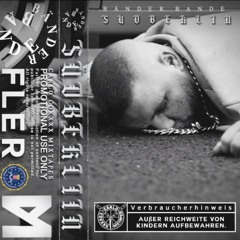 Fler - A - Seite - Thermometersiedlung (mixed By Schrauben Schulze)