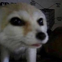 [FREE] Lil Uzi Vert x Hyperpop x Playboi Carti Type Beat "DEMO" (prod. YUNG RY 603)