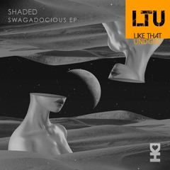 Premiere: SHADED - Swagadocious (Original Mix) | Desert Hearts Records