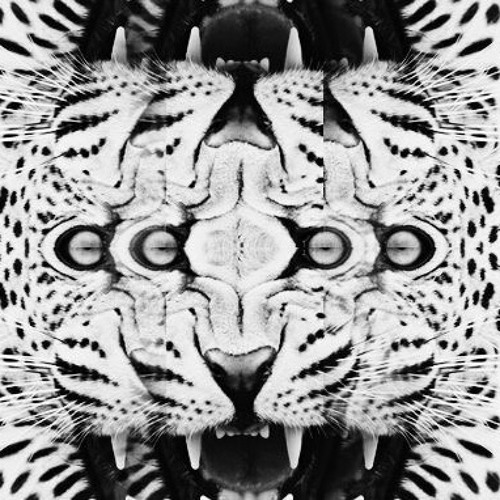 Helmut Lang - Kroka Koka