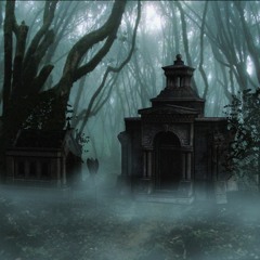 The Woods | Part VI