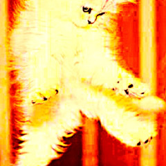"Jumping Up and Down the Floor" *SoundCloud Exclusive*