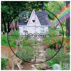broom w/ Soberdoze