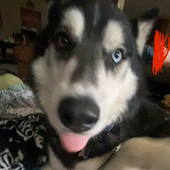 all i wanted - 131bpm