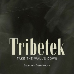 Tribetek - Take the Walls Down