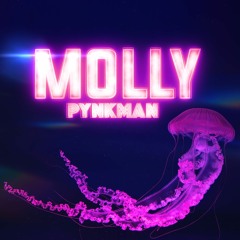 Pynkman - Molly (Extended EDM Future Rave Mix)
