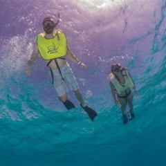 Review Special Price Fajardo Puerto Rico Morning Snorkeling Beach Tour