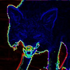 If I Chase the Arsonist, My Home Will Burn