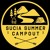 Artwork for streiks @ Sucia Summer Campout 2025