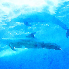 good-by in dolphin dreams